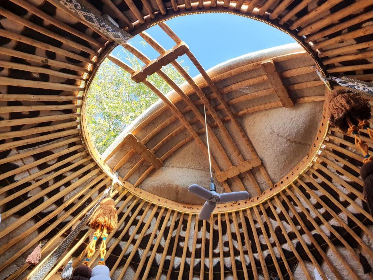 Agat Yurt Camp Bed & Breakfast Kaji-Say Bagian luar foto