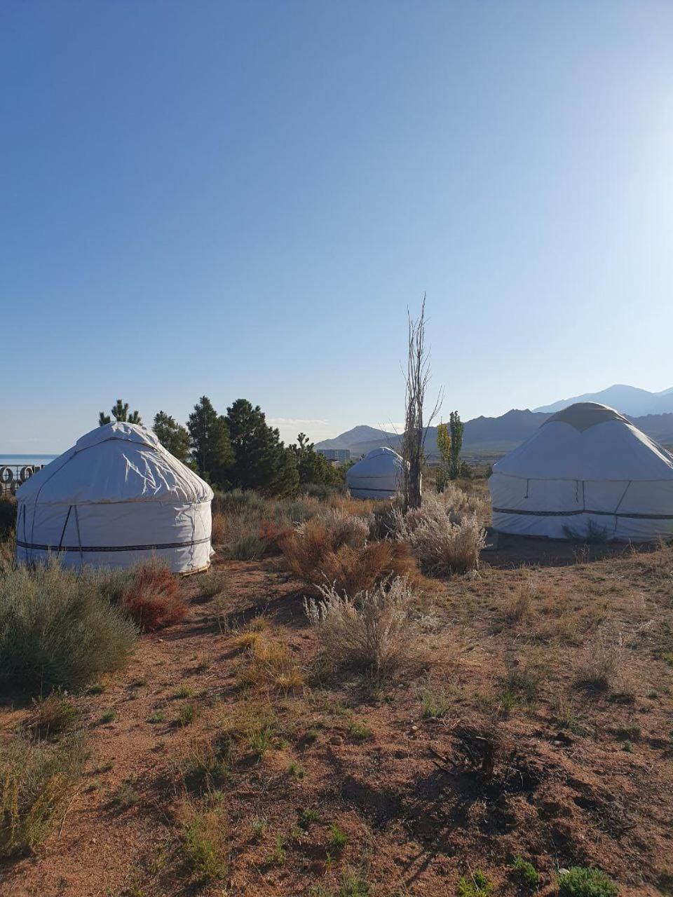 Agat Yurt Camp Bed & Breakfast Kaji-Say Bagian luar foto