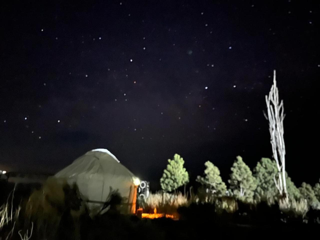 Agat Yurt Camp Bed & Breakfast Kaji-Say Bagian luar foto